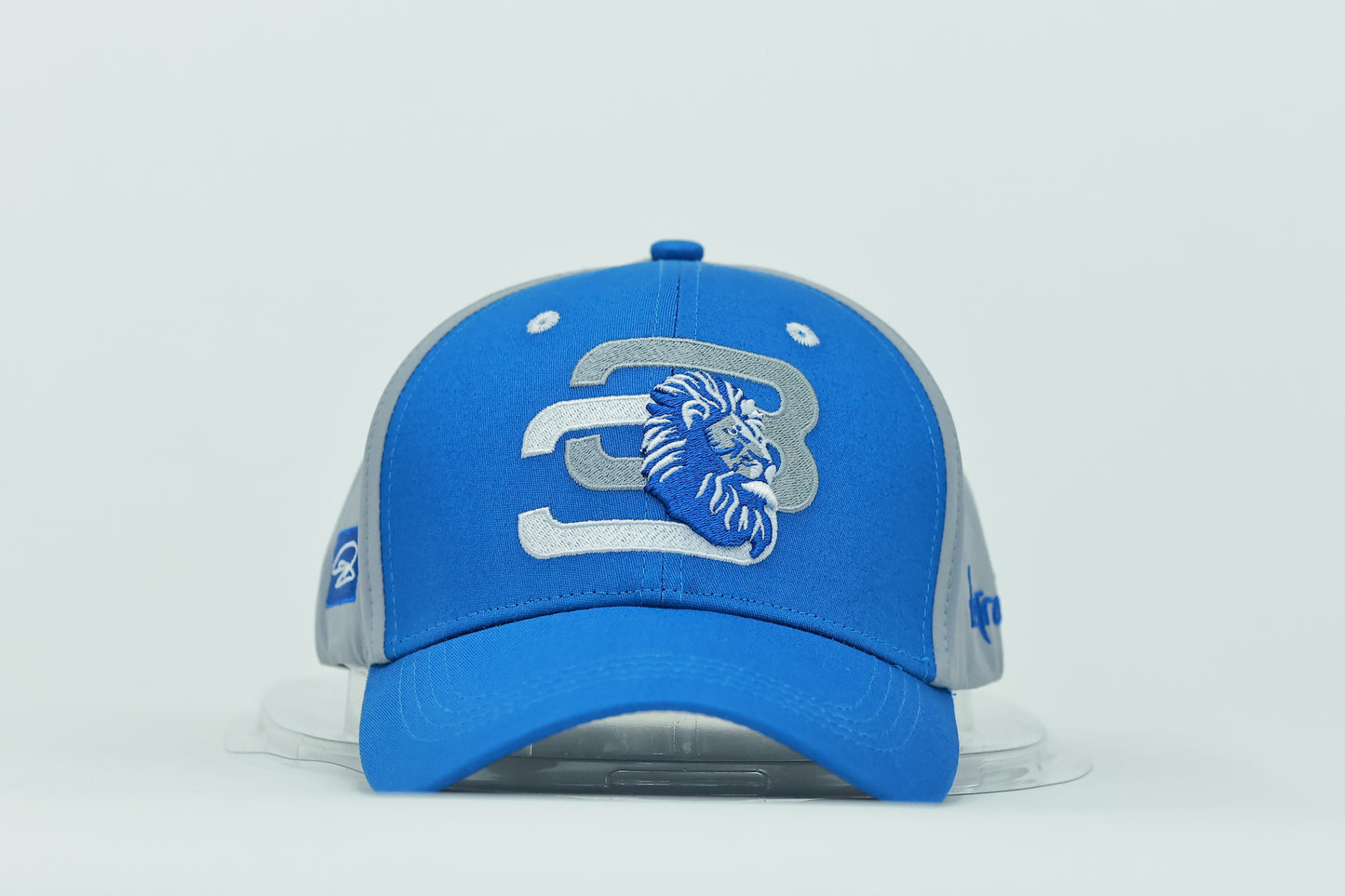 Blue and Silver 3LD Hat