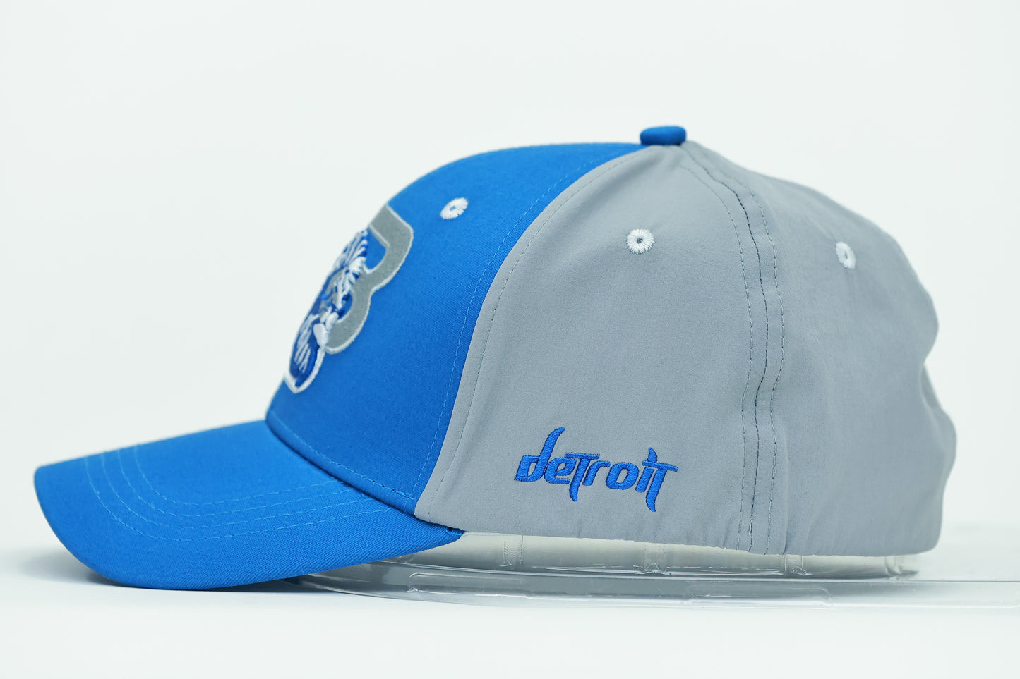 Blue and Silver 3LD Hat