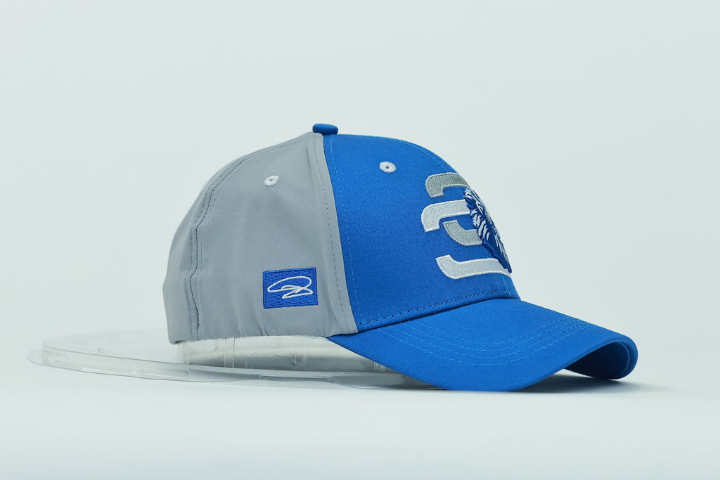 Blue and Silver 3LD Hat