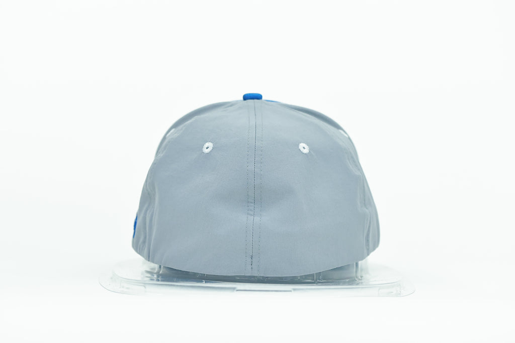 Blue and Silver 3LD Hat