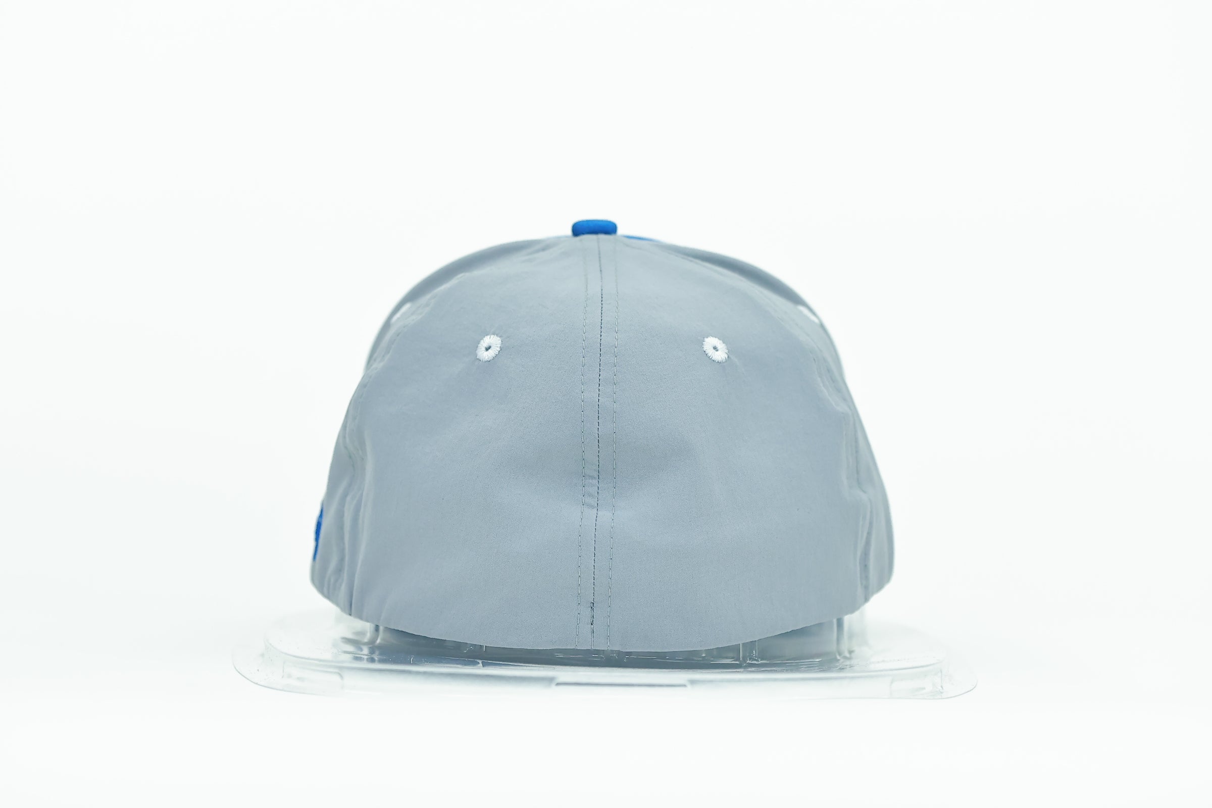 Blue and Silver 3LD Hat