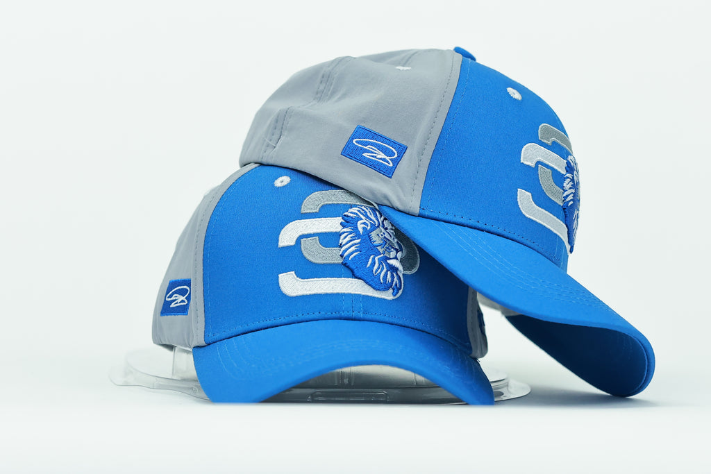Blue and Silver 3LD Hat